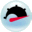 MPMileage icon
